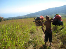 porters on the mountain with logistic