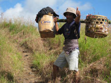 porters on the mountain with logistic